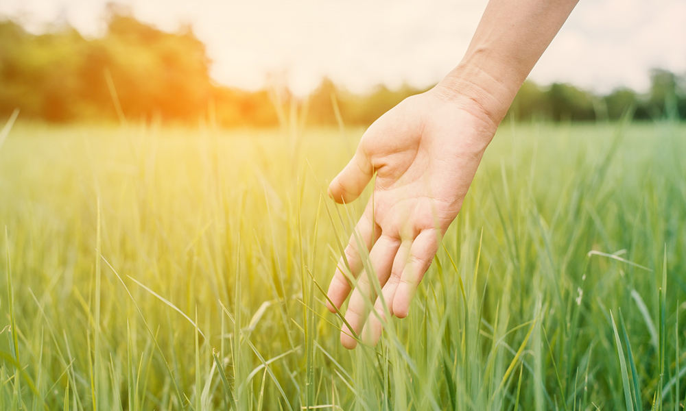 Surfaces That Speak of Human Touch Surfaces That Speak of Human Touch