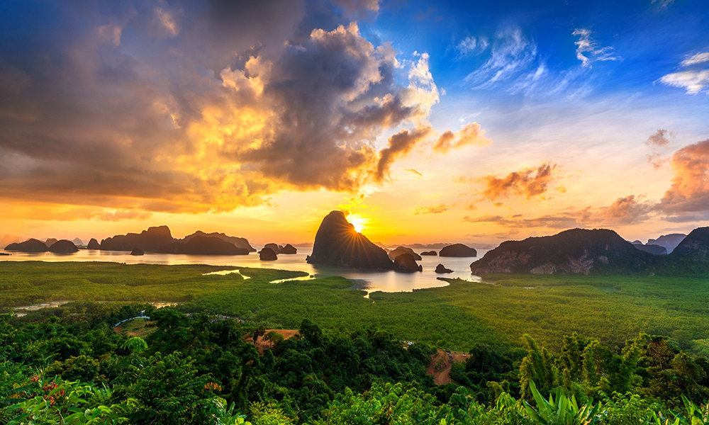 Buyers’ Choice: How Collectors Factor into the Art World’s Quest for Environmental Sustainability Buyers-choice