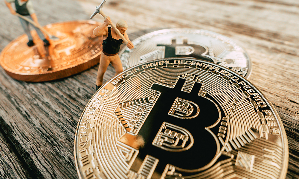 How-‘more-mature-collectors-are-powering-the-NFT-markets-comeback